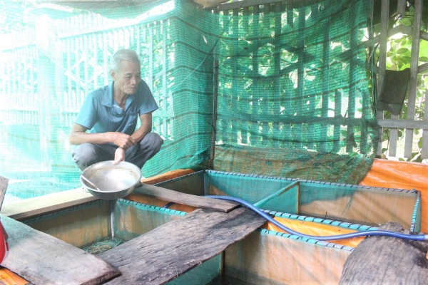 Nuôi lươn không bùn “Làm chơi ăn thật”