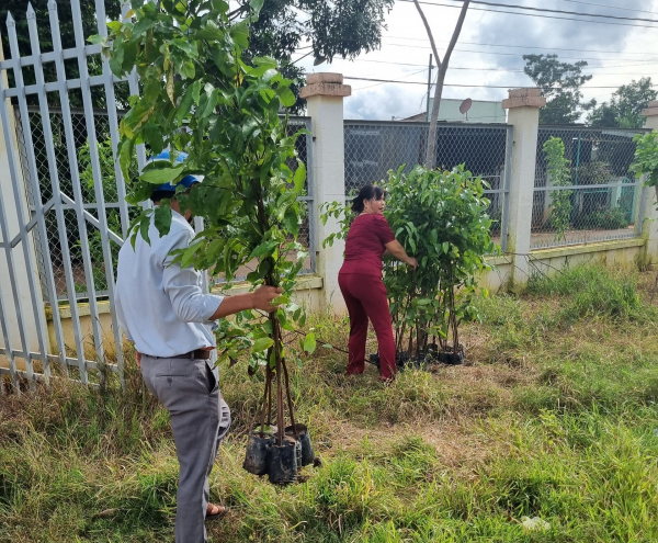 Các tổ chức, cá nhân trên địa bàn Hi88 Lừa Đảo
 được bàn giao cây giống lâm nghiệp.