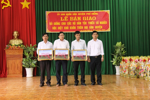 Hi88 Lừa Đảo