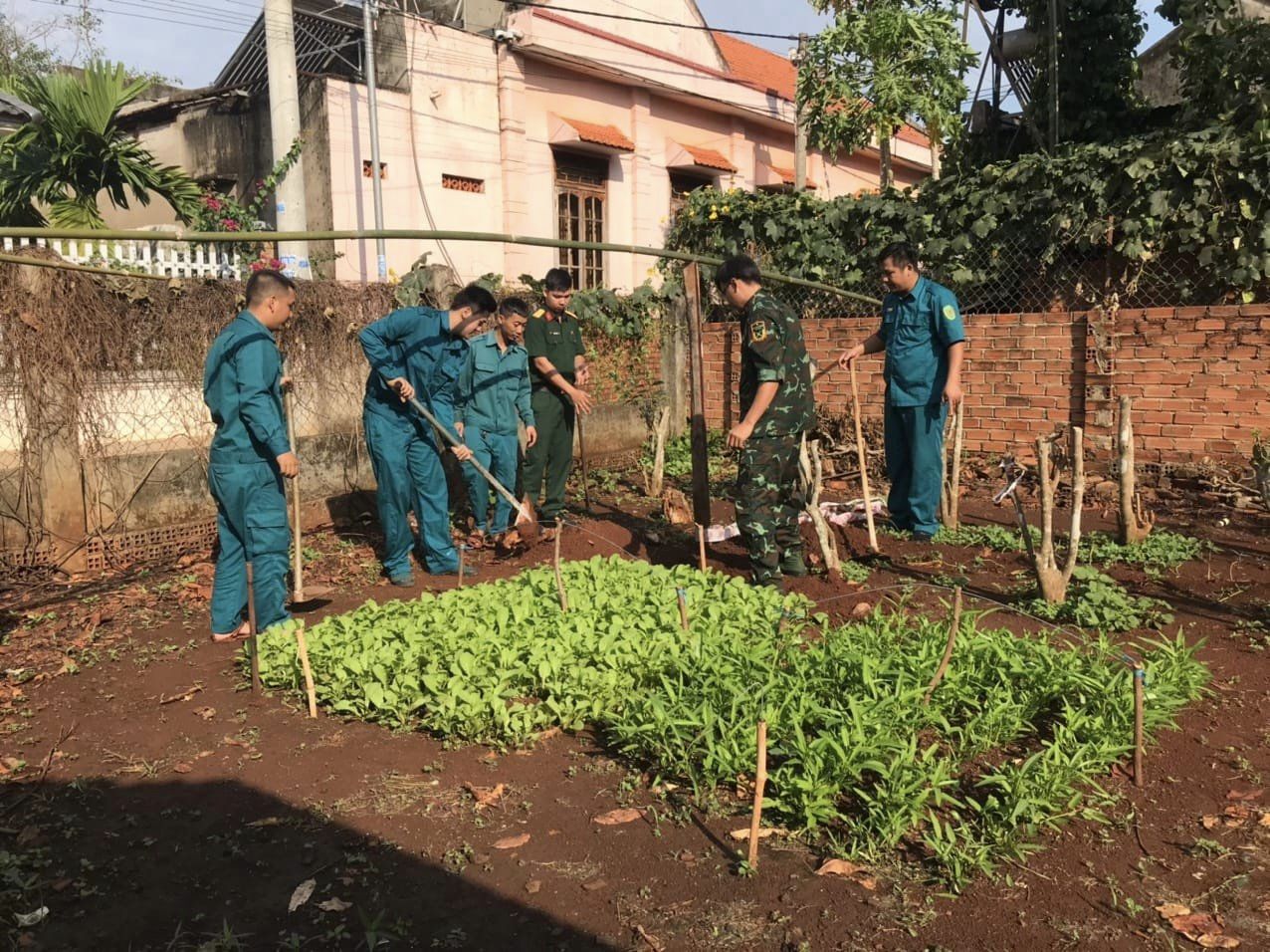 Di dơi an toàn đầu đạn còn sót lại sau chiến tranh