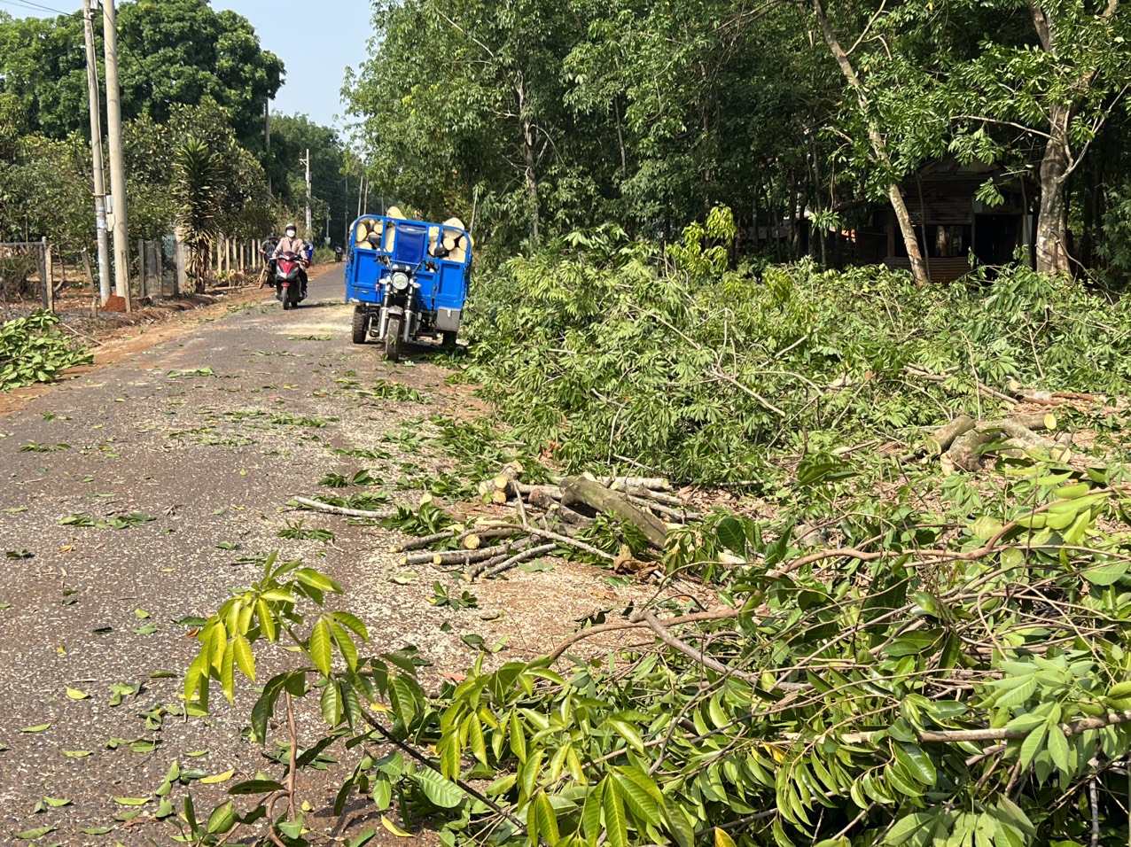 Người dân bàn giao mặt bằng dự án kết nối đường xã Phú Riềng với tuyến đường Long Tân- Tân Hưng (Hớn Quản)