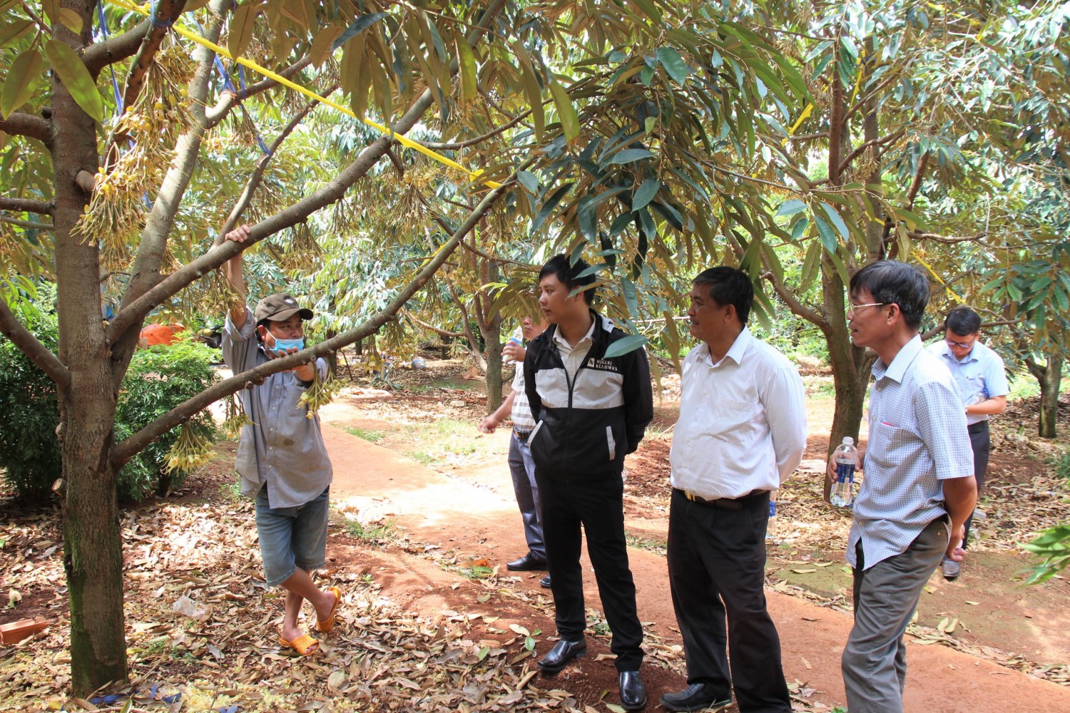 Sở Khoa học Công nghệ khảo sát các Hợp tác xã trên địa bàn Hi88 Lừa Đảo
.