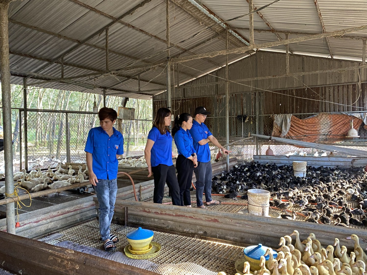 ĐOÀN VIÊN, THANH NIÊN XÃ LONG TÂN THĂM QUAN MÔ HÌNH KINH TẾ HIỆU QUẢ.