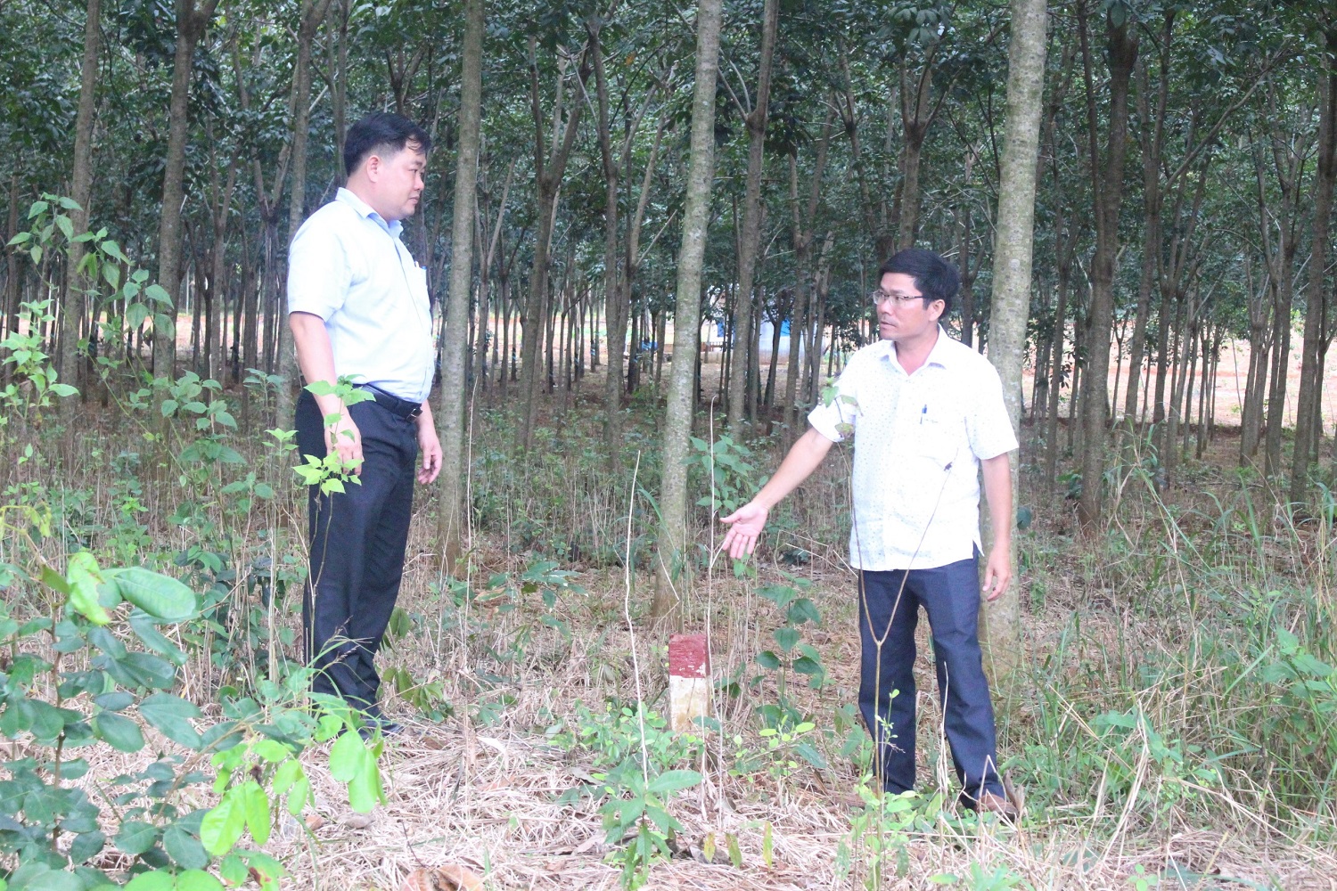 Cần khẩn trương đôn đốc người dân bàn giao mặt bằng xây dựng đường từ xã Phú Trung đi xã Phước Tân.