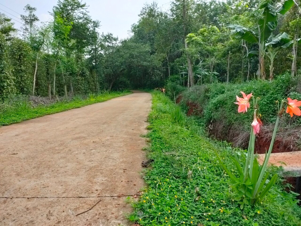 Nhân dân đóng góp gần 2,7 tỷ đồng xây dựng khu dân cư “Sáng – xanh- sạch – đẹp”