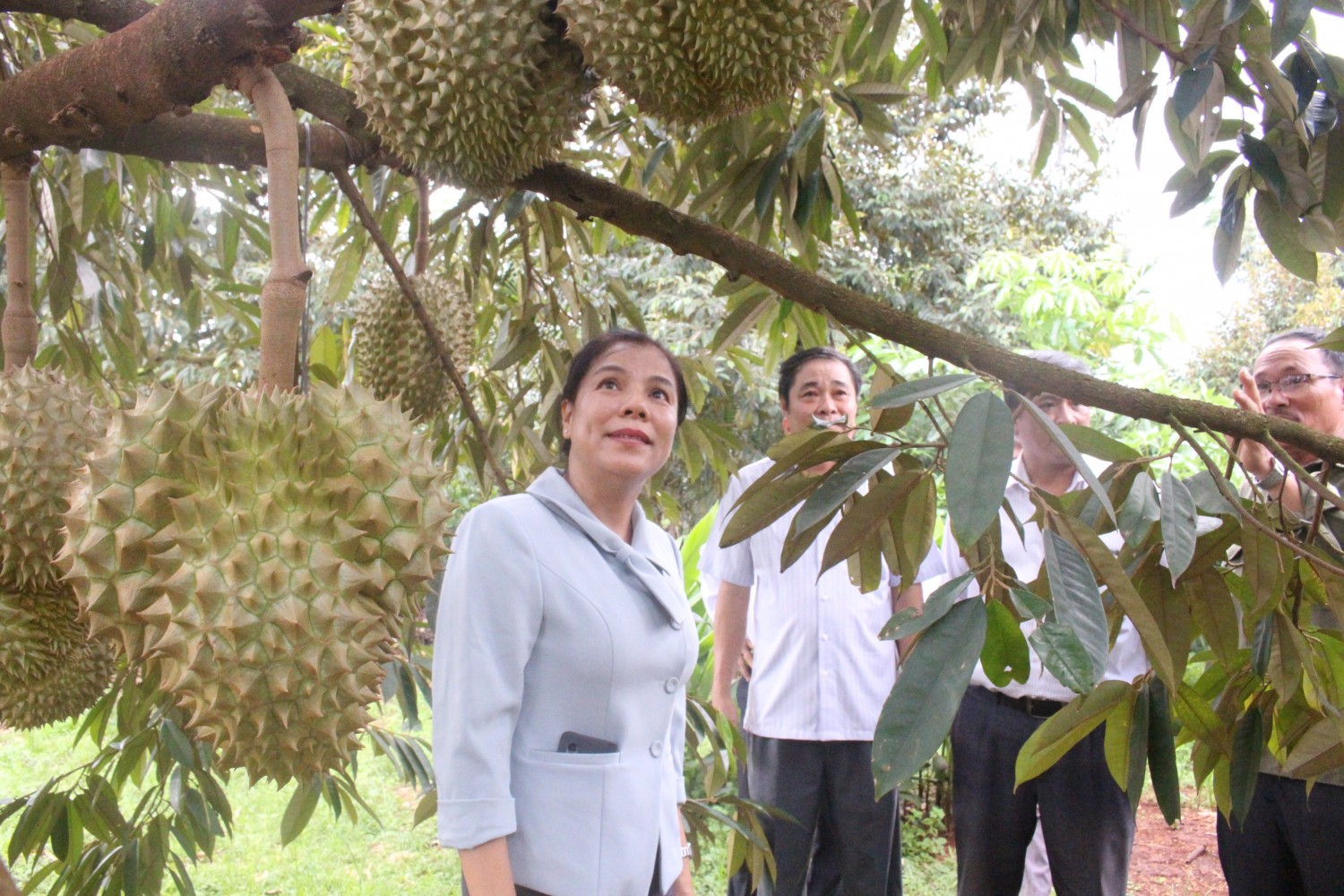 Hi88 Lừa Đảo