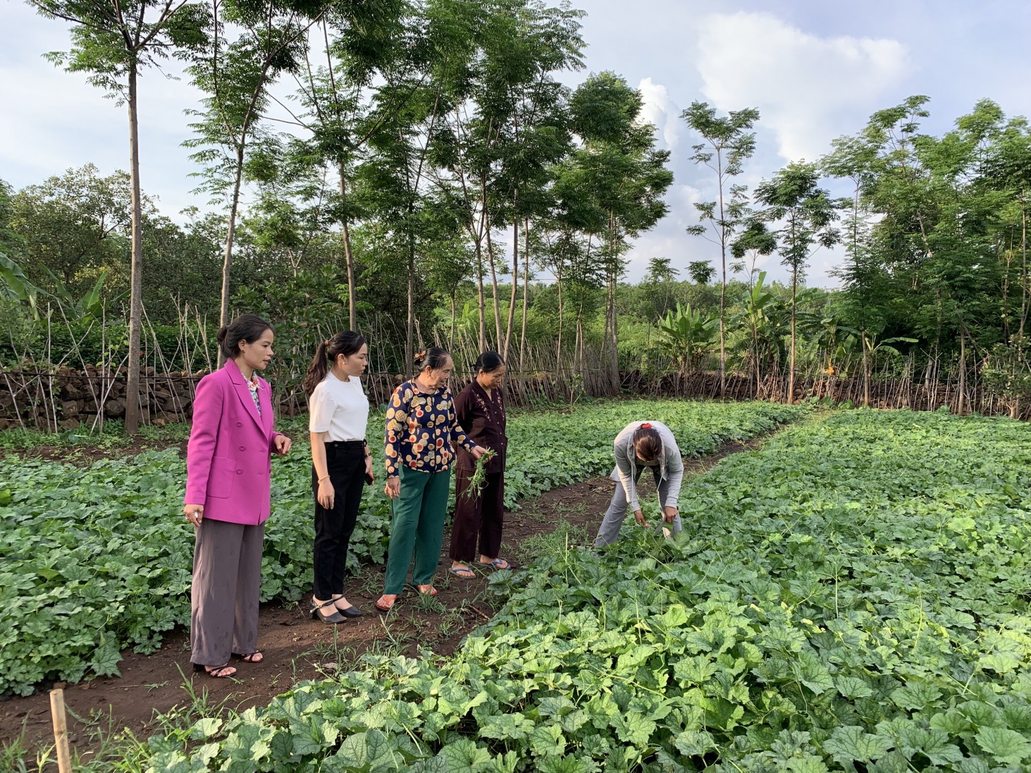 Hi88 Lừa Đảo