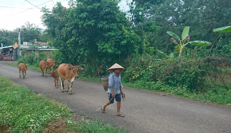 Hi88 Lừa Đảo