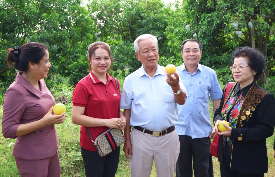 Hi88 Lừa Đảo