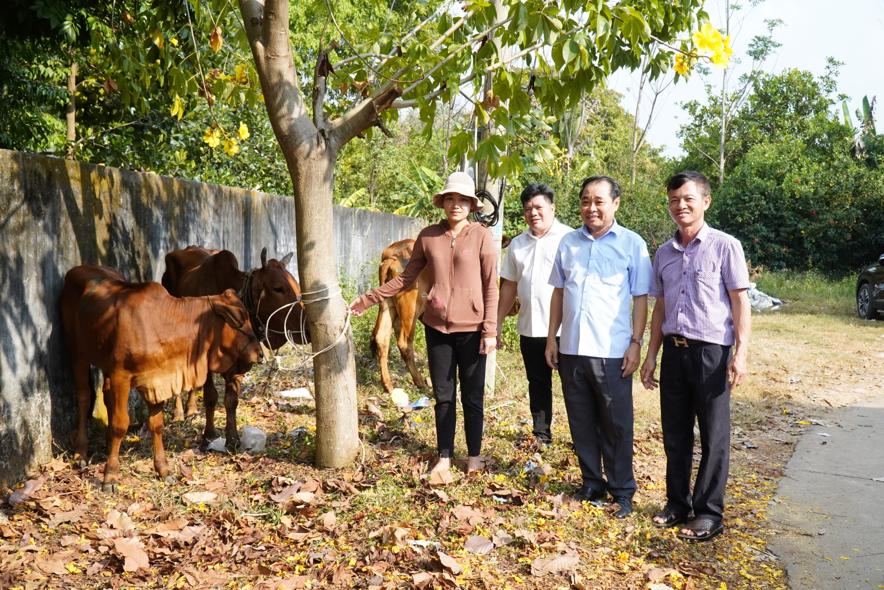 Hi88 Lừa Đảo